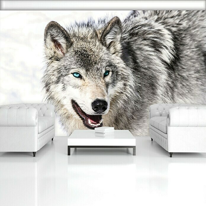 Fototapete Wolf-Tier (312 x 219 cm, Vlies)