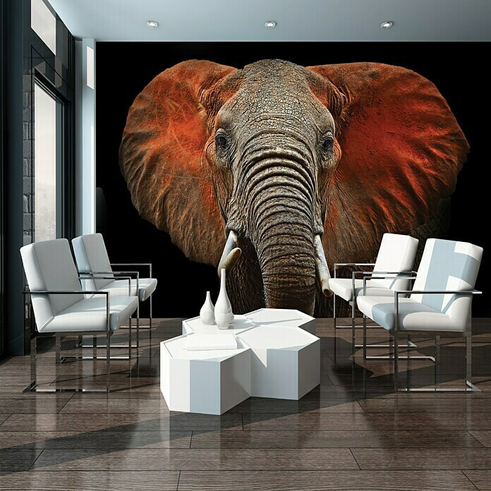 Fototapete Elefant I (312 x 219 cm, Vlies)