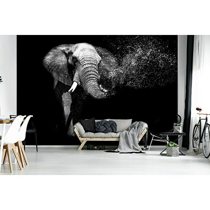 Fototapete Elefant II (416 x 254 cm, Vlies)