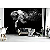 Fototapete Elefant II (254 x 184 cm, Vlies)