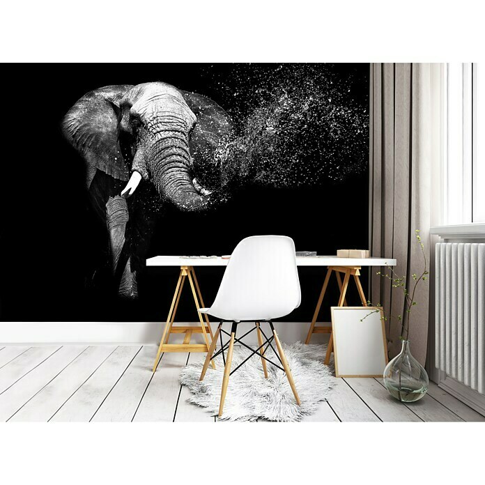 Fototapete Elefant II (368 x 254 cm, Vlies)