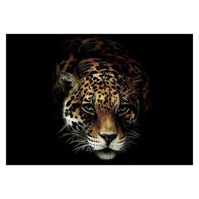 Fototapete Jaguar I (368 x 254 cm, Papier)