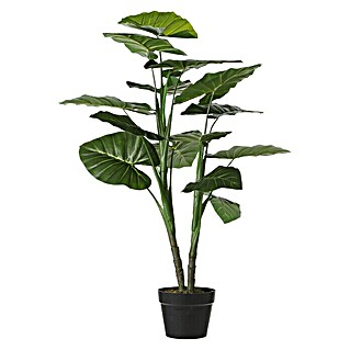 Planta artificial Colocasia (100 cm, Verde, Plástico)