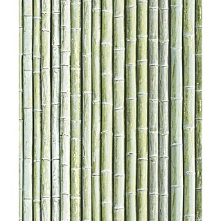 Papel pintado Bambú (Verde, 10 x 0,53 m)