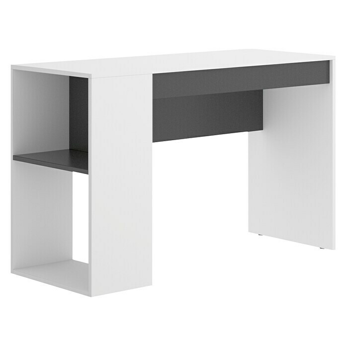 Mesa de escritorio Teo (L x An x Al: 50 x 115 x 74 cm)