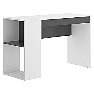 Mesa de escritorio Teo (Blanco/Grafito, L x An x Al: 50 x 115 x 74 cm)