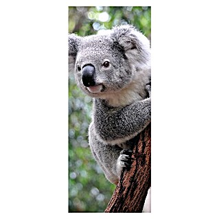 SanDesign Alu-Verbundplatte (100 x 250 cm, Cute Koala)