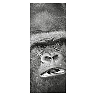 SanDesign Alu-Verbundplatte (100 x 250 cm, Scary Monkey)