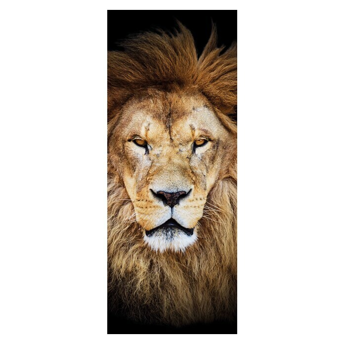 SanDesign Alu-Verbundplatte Wild Lion