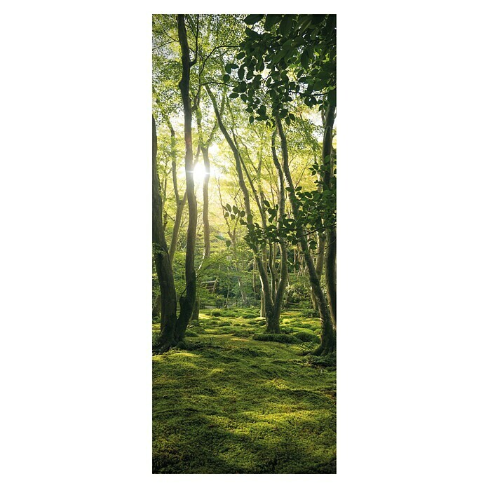 SanDesign Acryl-Verbundplatte Sunny Forest