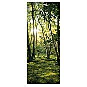 SanDesign Acryl-Verbundplatte Sunny Forest (100 x 250 cm)