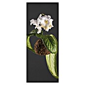 SanDesign Acryl-Verbundplatte Flowers (100 x 250 cm)