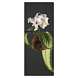 SanDesign Acryl-Verbundplatte (100 x 250 cm, Flowers)
