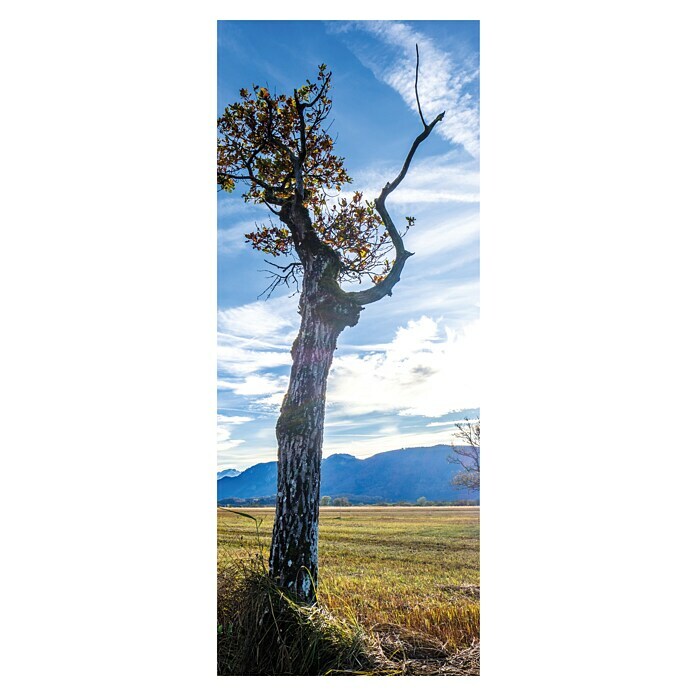 SanDesign Acryl-Verbundplatte Loneley Tree