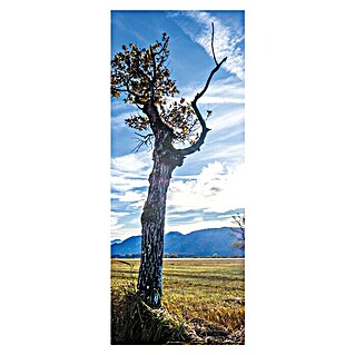 SanDesign Acryl-Verbundplatte (100 x 250 cm, Lonely Tree)