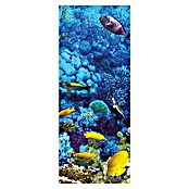 SanDesign Acryl-Verbundplatte Coral Reef (100 x 250 cm)