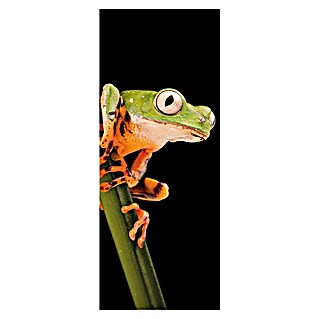 SanDesign Alu-Verbundplatte (100 x 250 cm, Frog)