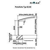 Ximax Carport Portoforte 60 (4,9 x 2,7 m, Einfahrtshöhe: Max. 2,2 m, Edelstahloptik, Schneelast: 75 kg/m²)