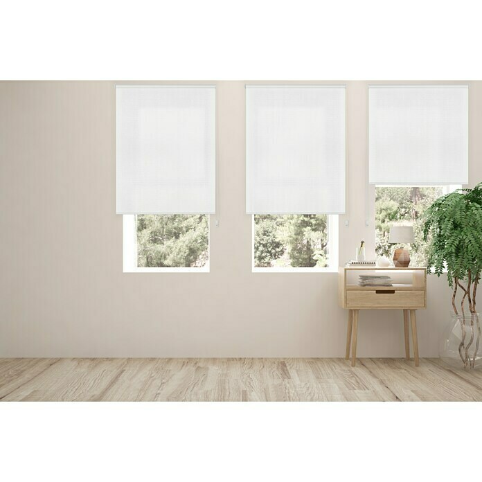 Viewtex Estor enrollable Shape (An x Al: 90 x 250 cm, White, Traslúcido)