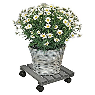 Gardol Podložak za biljke s kotačićima (29 x 29 cm, Antracit, Maksimalna nosivost: 100 kg)