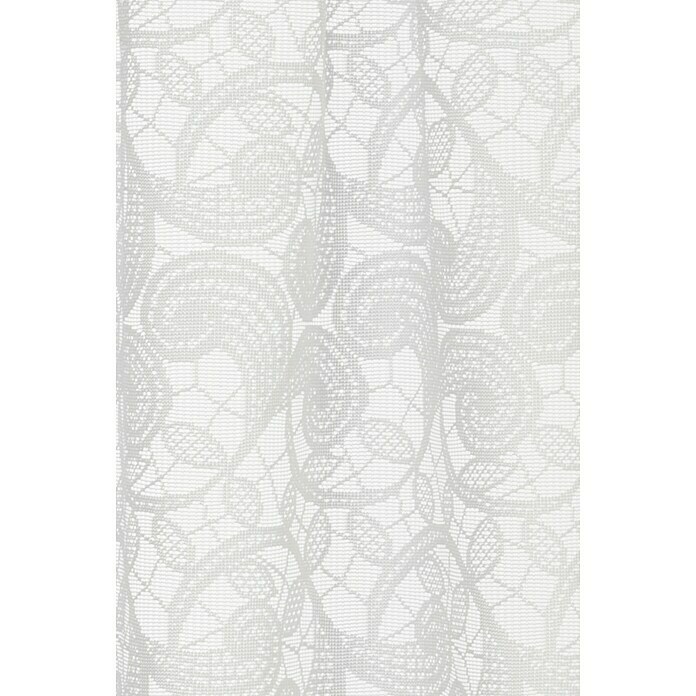 Elbersdrucke Bistrogardine Duchesse (160 x 45 cm, 100 % Polyester, Floral, Weiß)