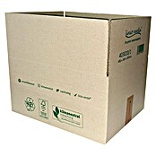 PackMann linio verda® Verpackungskarton (L x B x H: 360 x 280 x 180 mm)