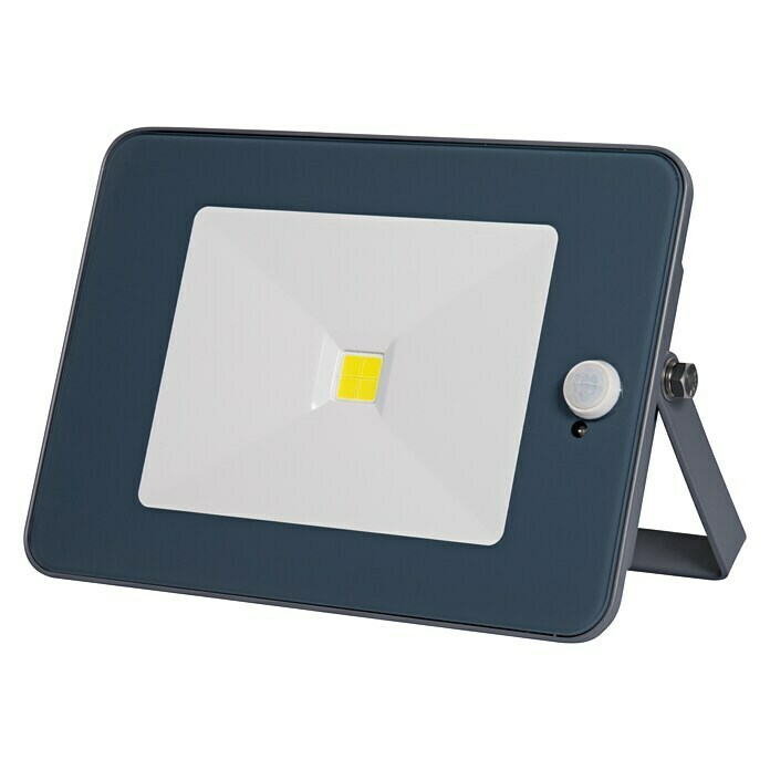 Profi Depot LED reflektor sa senzorom pokreta (S 1 žaruljom, 20 W, Sive boje)