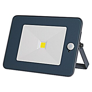 Profi Depot LED senzorski reflektor (S 1 žaruljom, 20 W, Sive boje)