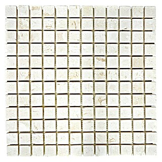 Mosaikfliese Quadrat Colonial XNT 49023 (30,5 x 30,5 cm, Matt)