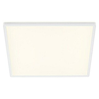 Panel LED Backlight (22 W, L x An x Al: 42 x 42 x 2,9 cm, Blanco, Blanco neutro)