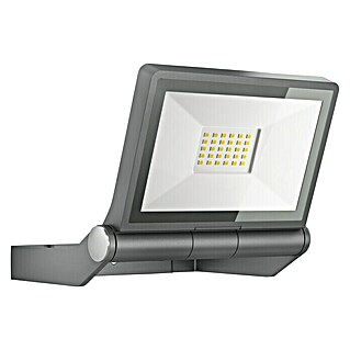 Steinel LED-Strahler XLED ONE ANT  (L x B x H: 17,3 x 22,9 x 19,5 cm, Warmweiß, Anthrazit)