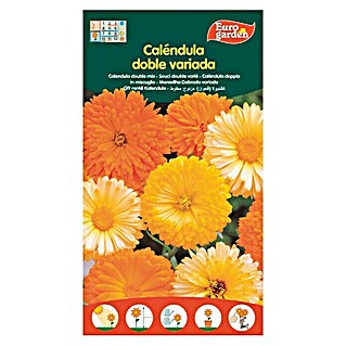 Euro Garden Semillas de flores Caléndula Doble variada (Época de floración: Junio - Diciembre)
