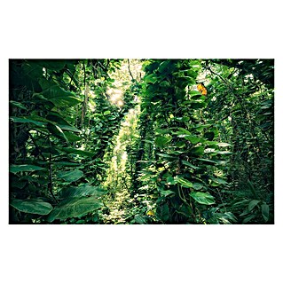 Komar Stefan Hefele Edition 2 Fototapete Green Leaves (9 -tlg., B x H: 450 x 280 cm, Vlies)
