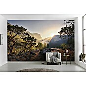 Komar Stefan Hefele Edition 2 Fototapete Yosemites Secret (9-tlg., 450 x 280 cm, Vlies)