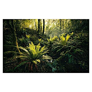 Komar Stefan Hefele Edition 2 Fototapete Fjordland Woods (9 -tlg., B x H: 450 x 280 cm, Vlies)