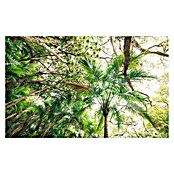 Komar Stefan Hefele Edition 2 Fototapete Touch the Jungle (9-tlg., 450 x 280 cm, Vlies)