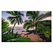 Komar Stefan Hefele Edition 2 Fototapete Hawaiian Dreams (450 x 280 cm, Vlies)