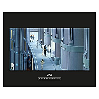 Komar Star Wars Poster RMQ Prison Elevator (Disney, B x H: 50 x 40 cm)