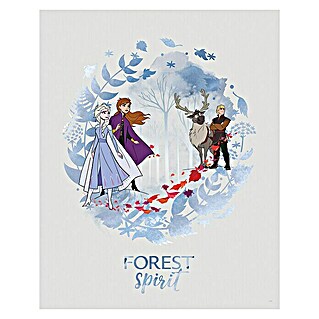Komar Disney Edition 4 Poster Frozen Spirit (Disney, B x H: 40 x 50 cm)