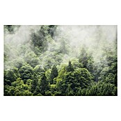 Komar Stefan Hefele Edition 1 Fototapete Forest Land (4-tlg., 400 x 250 cm, Vlies)