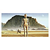 Komar Star Wars Fototapete Droids (10-tlg., 500 x 250 cm, Vlies)