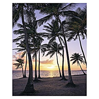 Komar Stefan Hefele Edition 1 Fototapete Palmtrees on Beach (2 -tlg., B x H: 200 x 250 cm, Vlies)