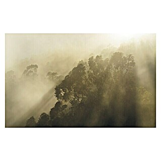 Komar Stefan Hefele Edition 1 Fototapete Misty Mountain (4 -tlg., B x H: 400 x 250 cm, Vlies)