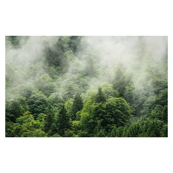 Komar Pure Fototapete Forest Land (4-tlg., 400 x 250 cm, Vlies)