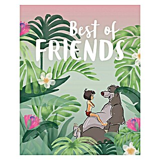Komar Disney Edition 4 Poster Jungle Book Best of Friends (Disney, B x H: 50 x 70 cm)