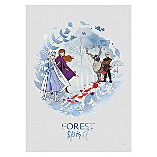 Komar Disney Edition 4 Poster Frozen Spirit (Disney, B x H: 50 x 70 cm)