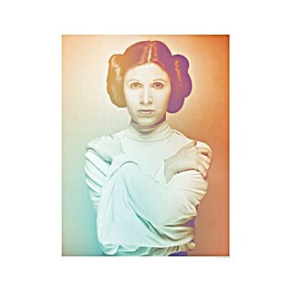 Komar Star Wars Poster Icons Color Leia (Star Wars, B x H: 50 x 70 cm)