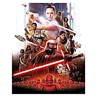Komar Star Wars Poster Movie Poster Rey (Disney, B x H: 40 x 50 cm)