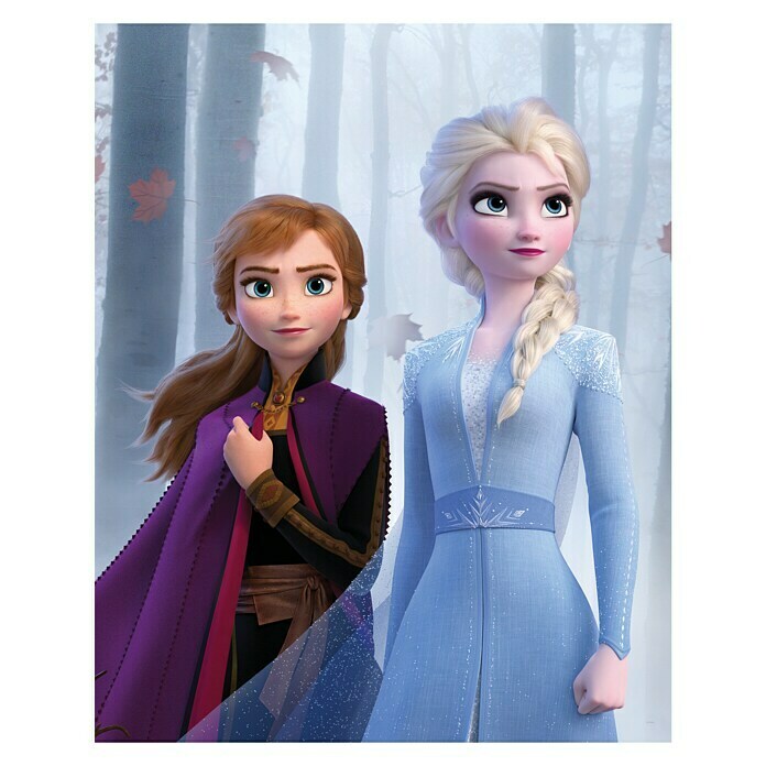 Komar Disney Edition 4 Poster Frozen Sisters In The Wood 