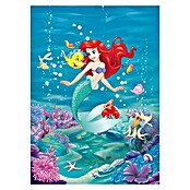 Komar Disney Edition 4 Fototapete Ariel Singing (4-tlg., 184 x 254 cm, Papier)